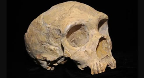 Medvének és beteg embernek is hitték az első neandervölgyi leleteket
