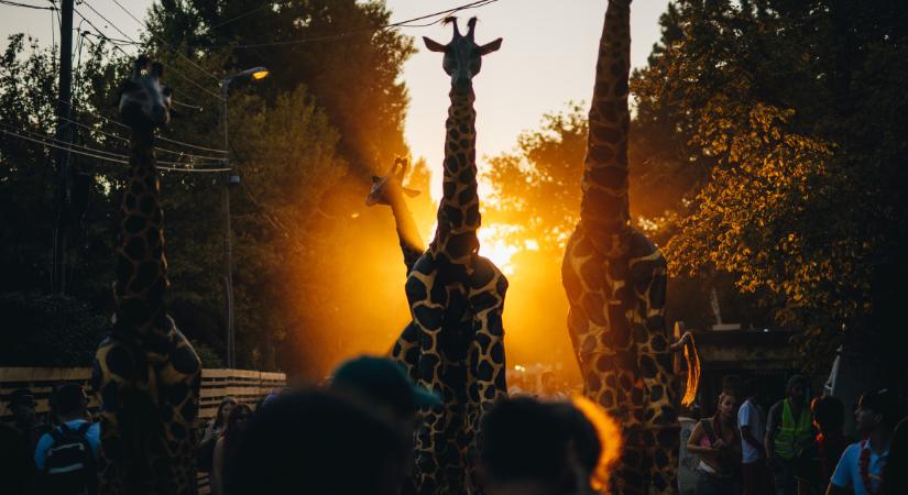 Új korszak a Hajógyári-szigeten: visszatér a Nulladik Nap, és megszületik a SZociety Mozgalom