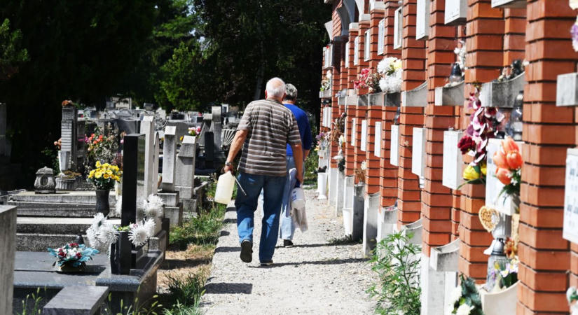 Papíron szántó, valóságban út: összetett jogi helyzet késlelteti a temetőhöz vezető út felújítását