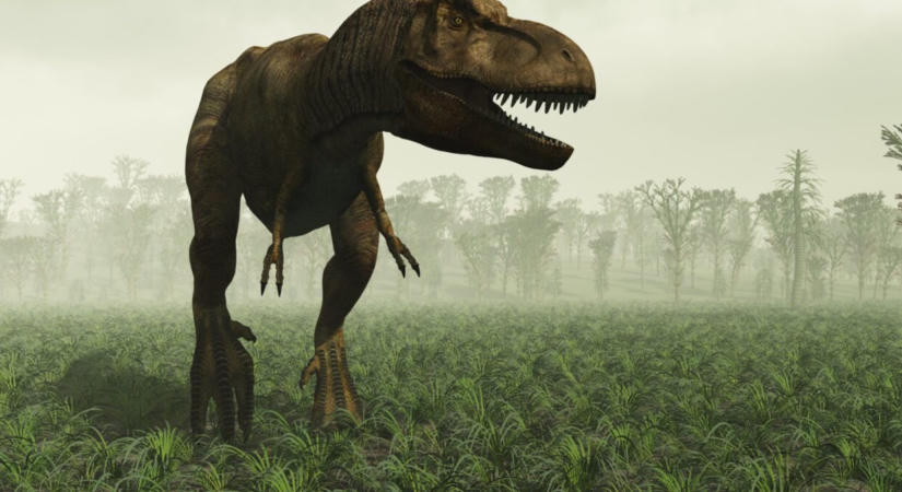Miért voltak nevetségesen kicsik a T. rex karjai? Az evolúció kíméletlen alkut kötött