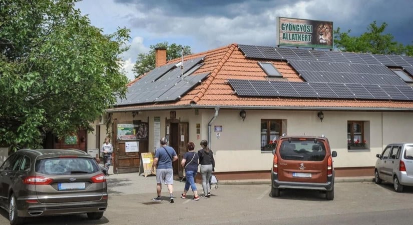 Két faj szerelmének gyümölcse: olyan kisállat született Gyöngyösön, amilyet még nem láttál! – fotókkal