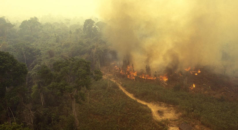 „Godzilla El Niño” csaphat le az Amazonas-medencére, ennek hatását pedig mindenki meg fogja érezni