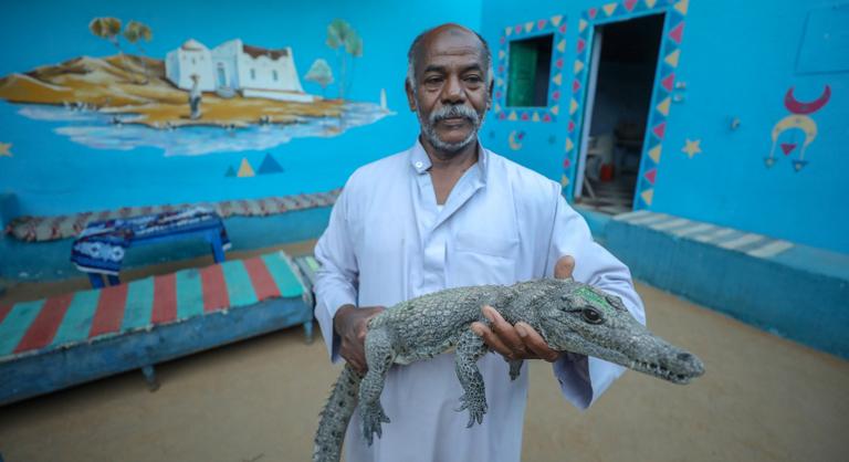 A krokodil eredetileg nem a Louis Vuitton táskáiban jelent meg, hanem a fáraók templomaiban