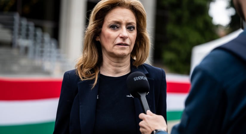Súlyos hibákról és a gyermekvédelem mulasztásairól beszélt Ferencz Orsolya