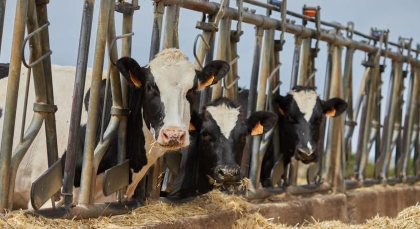 Enyhítettek a szabályokon: könnyebbé válhat a mezőgazdasági beruházások megvalósítása