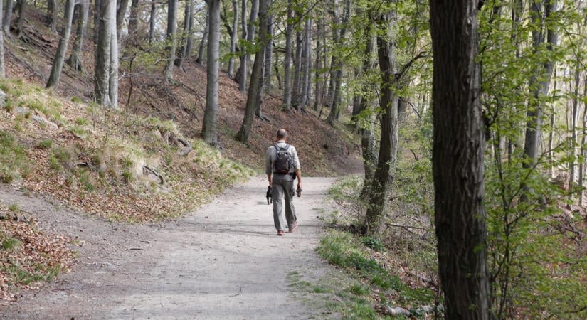 Tragédia a Kőszegi-hegységben: életmentő jótanácsok őszi túrázóknak