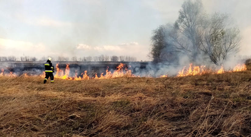 Bozót és fű ég Komádinál
