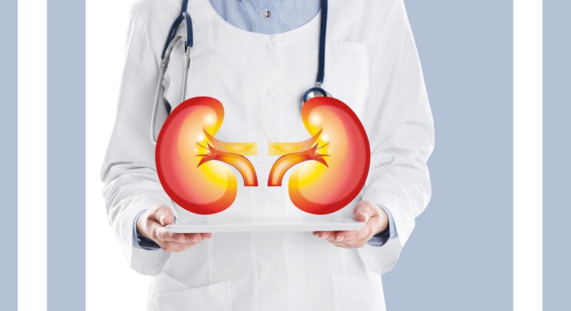 Nem csak a kevés víz lehet a baj: ez a vitamin is drasztikusan növeli a vesekő kialakulásának kockázatát