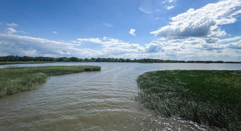 Aláírásgyűjtés indult a Tisza-tó környezeti értékeinek védelméért
