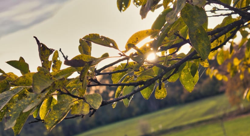 Hiába a csípős reggelek, napközben még mindig 25C felett lesz a hőmérséklet