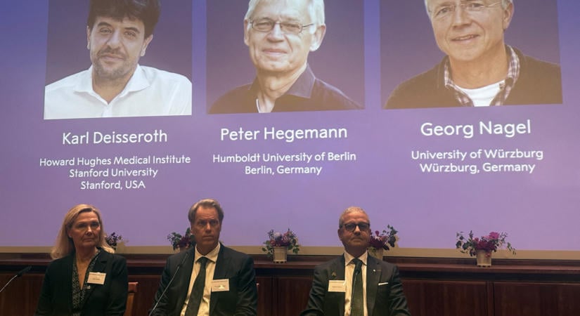 Az idegsejtek fénnyel történő vezérléséért ítélték oda az idei orvosi és élettani Nobel-díjakat