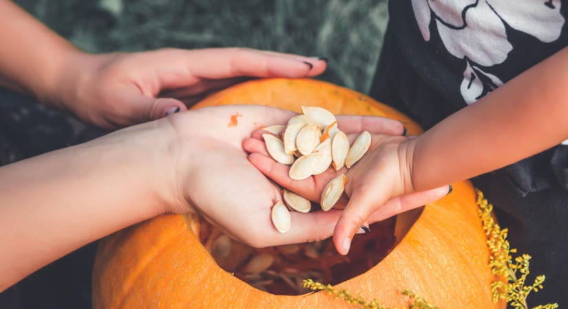 Mit kezdj a tökmaggal a faragás után? Így használd fel okosan a halloweeni maradékot