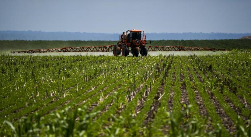 Brazília rákapott a biostimulátorokra, mert mérhető profitot hoznak