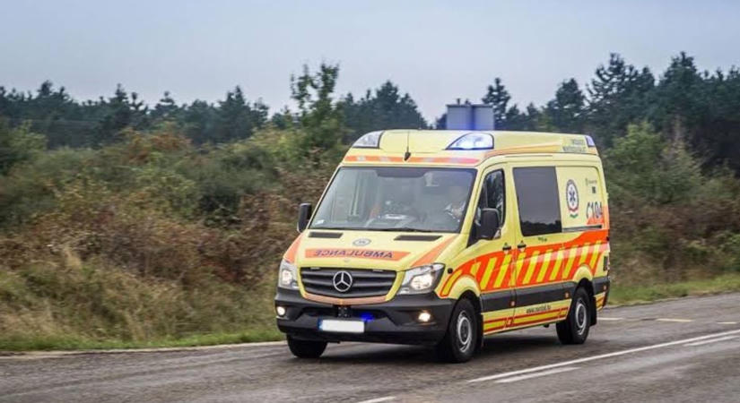 Az erdőben találtak rá, nagy erőkkel keresték az eltűnt férfit