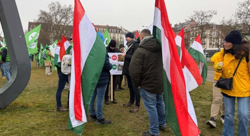 Telex: Az agrárkamara napidíjat fizetett a gazdáknak, akik az EU-döntések ellen tüntettek