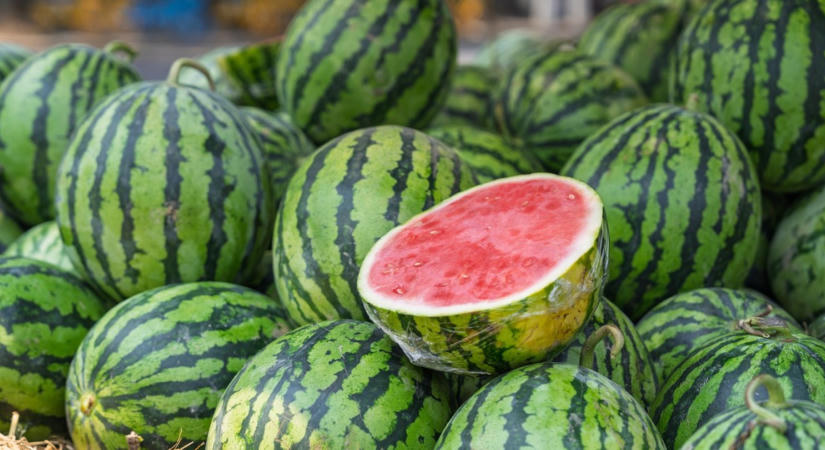 Sosem találod el, melyik a legédesebb görögdinnye? Egy termesztő elárulta a titkot: csak ezt az egyetlen jelet kell keresned a héján!