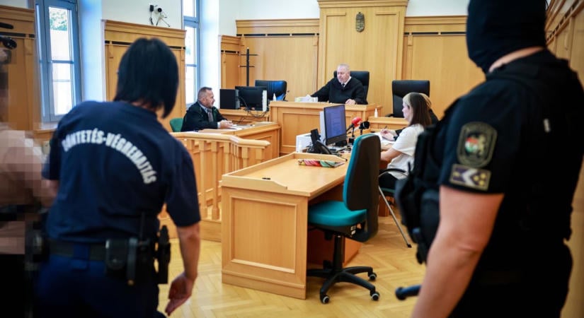 Megértést kért a bírótól a csecsemőjét földhöz, majd kukoricásba dobó, csecsemőgyilkos nő