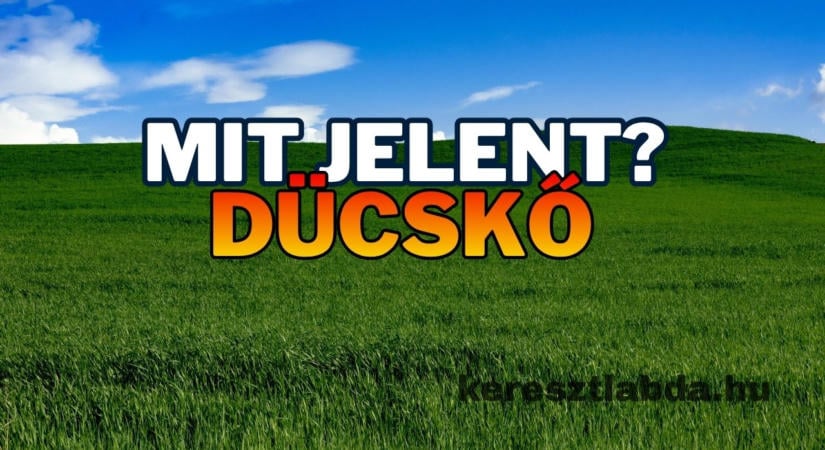 Tájszólás feladat: Tudod, mit jelent a dücskő?