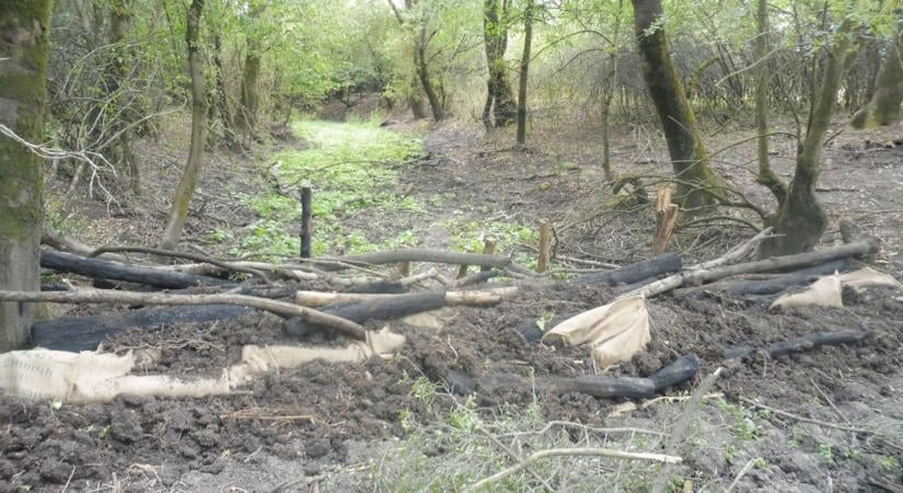 Már 50 méteren áll a víz, működnek a rönkgátak a Telki-legelőn