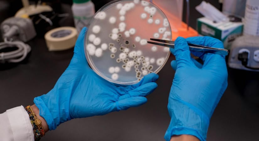 Basecamp Research 140 millió dollárt gyűjtött evolúciós adatokkal új antibiotikumokhoz