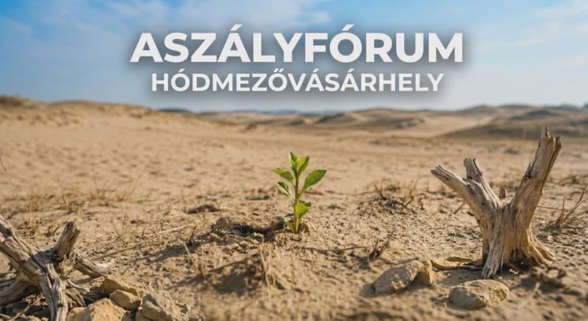 Hogyan alkalmazkodjunk az aszályhoz? Vásárhelyen keresik a válaszokat