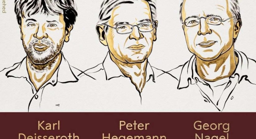 Az idei orvosi-élettani Nobel-díj a fénnyel ki- és bekapcsolható idegsejtekért járt
