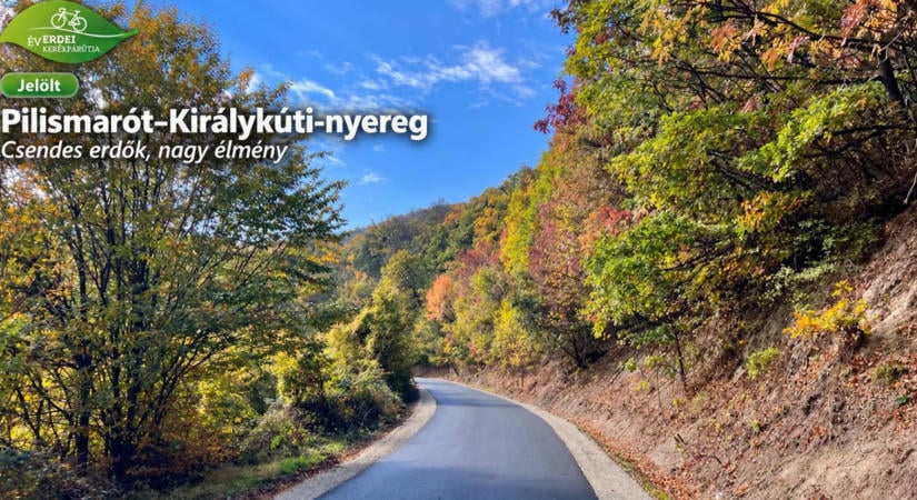 Hétfő éjfélig szavazhatunk a pilismaróti útvonalra az Év Erdei Kerékpárútja versenyen