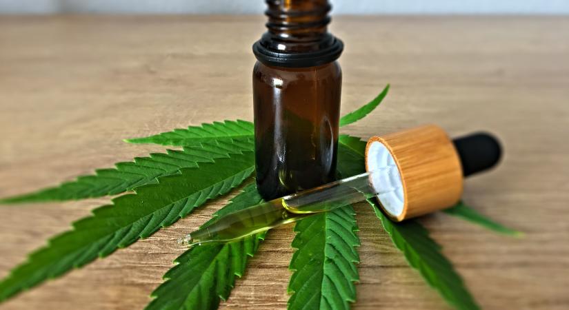 Cseppfolyósított nyugalom: a kannabisz olaj