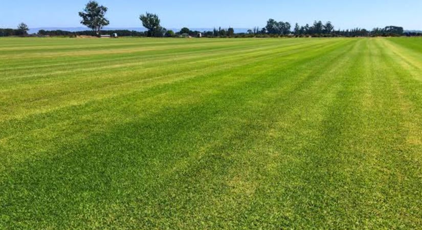 A GRASS projektről: szabad sávszélességből AI-adat és kriptovaluta a felhasználóknak
