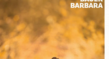 Bauer Barbara: Ámon és Elior