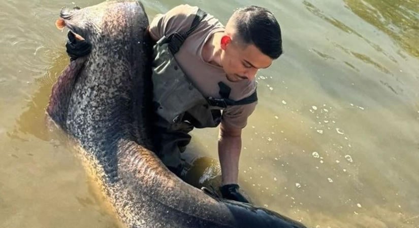Pontyra várt, de valami egészen elképesztőt fogott a hevesi horgász – videón a felismerés pillanata!