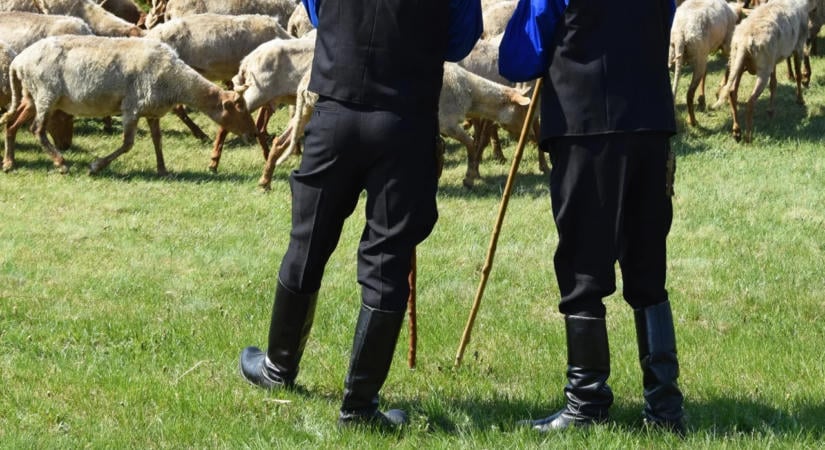 Pásztortalálkozóval egybekötött Márton-napi rendezvényt tartanak a Szennai Skanzenben