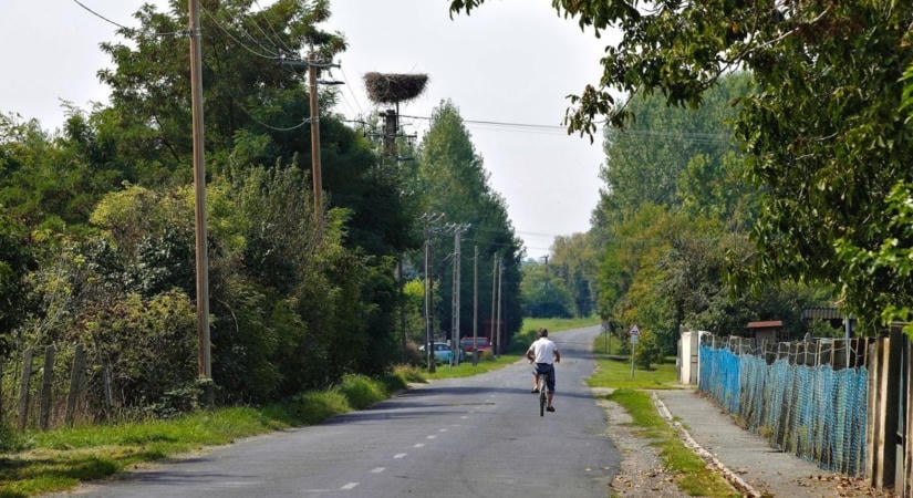 Ember az ilyen? Szívszaggató, mit művelt a kutyájával a borsodi férfi, bíróság elé is állítják érte