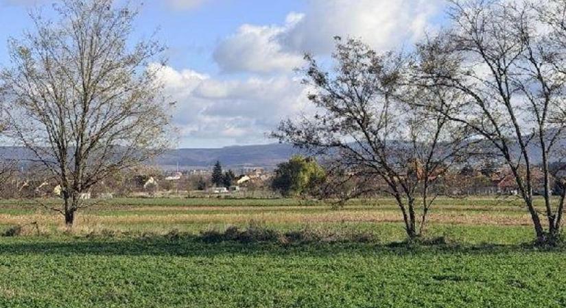 Már árulják a gigatelket, itt Tata legújabb lakóparkja is megépülhet fotók