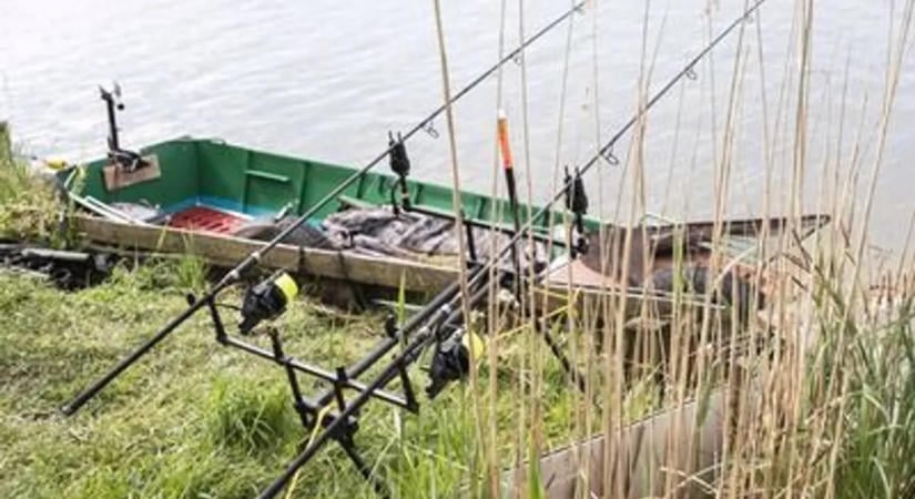 Azt sem tudta, mit fogott ki a balatoni horgász, a szákolásnál jött a meglepetés