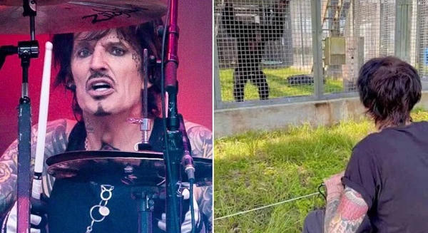 Mötley Crüe: Tommy Lee egy mentett csimpánznak zenélt (videó)