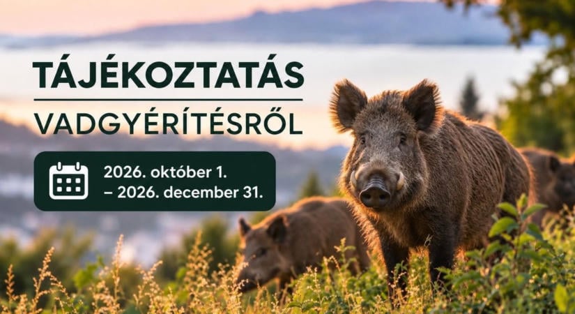 Vadgyérítés Fonyód belterületén: fokozott óvatosságra intik a lakosságot