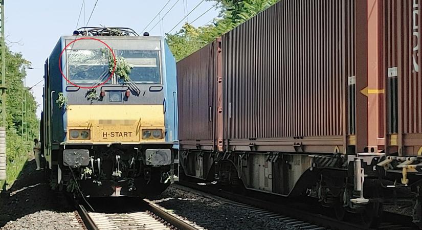 Helyszíni fotók: berepedt a vonat ablaka, amikor fának ütközött Komárom és Ács között