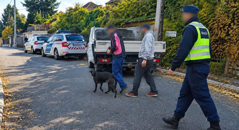 Öt órán át mentettek egy magára hagyott kutyát Miskolcon