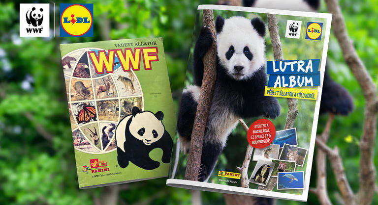 Újra életre kel a Lutra album, a Lidl és a WWF Magyarország közös kezdeményezése