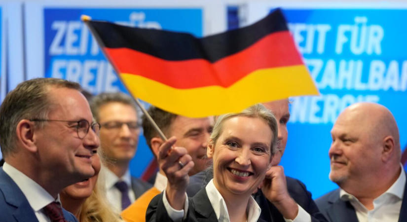 Elemzők: Oroszország az Afd-nek drukkol vasárnap
