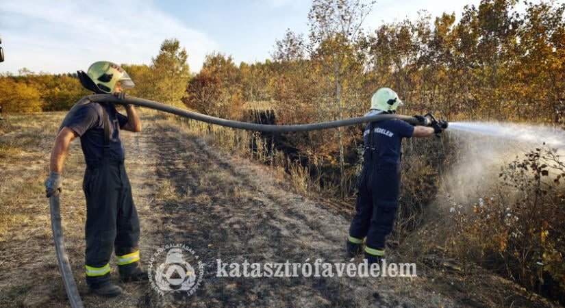 Aljnövényzet égett Hajdúsámsonban