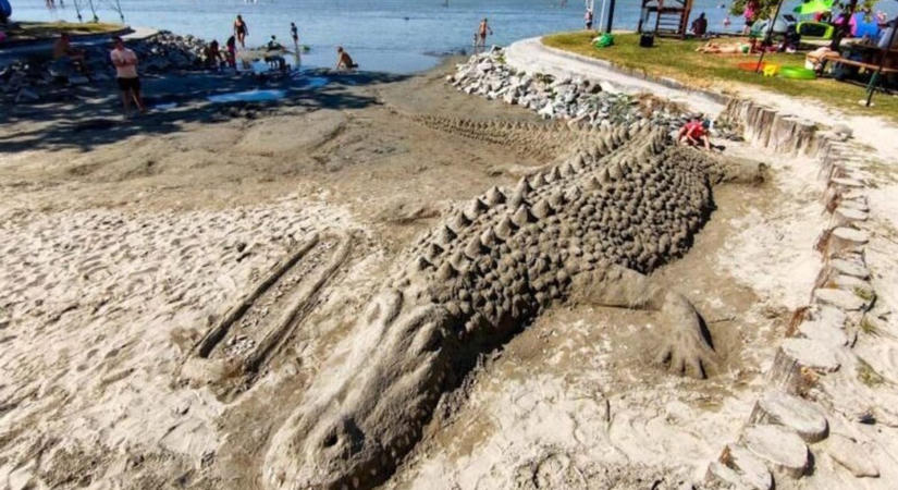 Hihetetlen! Egy krokodil sütkérezik a balatonfenyvesi strandon