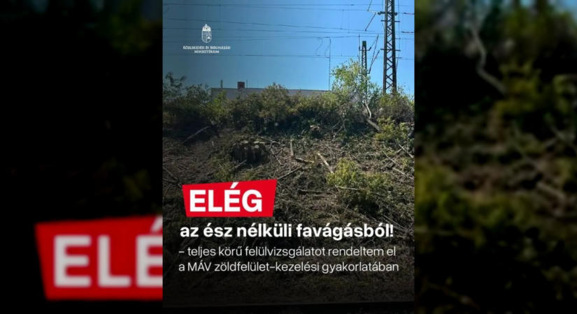 Főtájépítészt nevez ki a MÁV a zuglói fakivágások utáni vizsgálatban