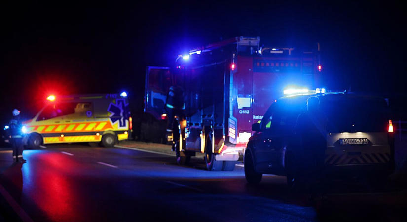 Őz ugrott egy autó elé az 55-ös főúton: egy édesanya és kislánya került kórházba  fotók