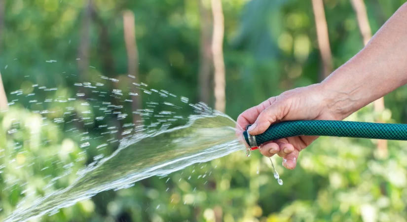 Figyelmeztet a szakember: ezeket a hibákat ne kövesd el locsolás közben!