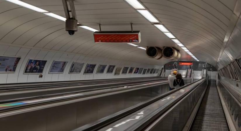 Leszaladt egy vaddisznó a Kossuth téri metróba: elütötte egy szerelvény, aztán lelőtték