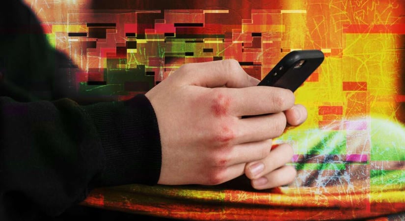 Állatkínzás Oroszlányban: Magyarországon is felbukkant a 764 online hálózat, amely kamaszokra céloz