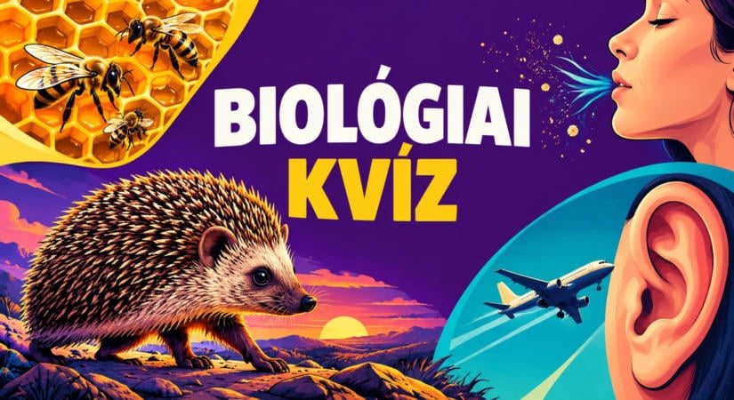 Nem csak a tankönyvi tudás számít! Vajon hány pontot érsz el ebben a biológiai kvízben?
