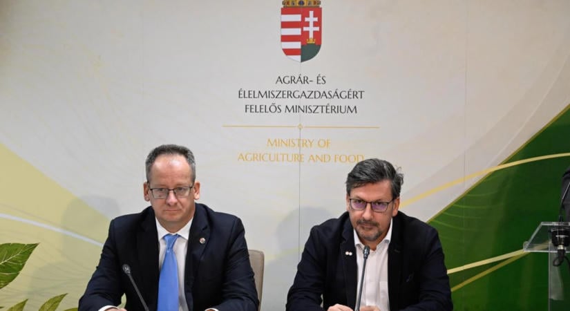 Agrárgazdasági államtitkár: a csapadékhiány miatt veszteséges lehet az idei év a gazdáknak